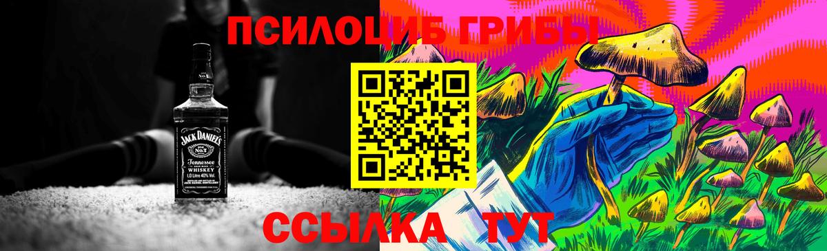 Галлюциногенные грибы прущие грибы  Вход с VPN  где найти   Сердобск 